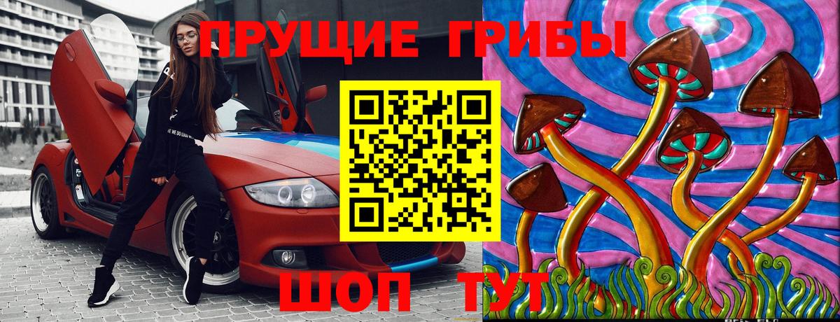 Чернушка  Псилоцибиновые грибы прущие грибы  Вход с VPN  Галлюциногенные грибы мицелий 